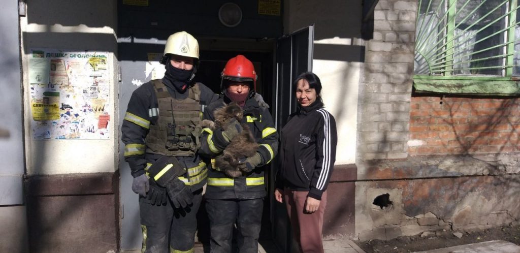 В Харькове из-под завалов вытащили кота, который провел там почти 2 недели
