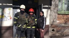В Харькове из-под завалов вытащили кота, который провел там почти 2 недели