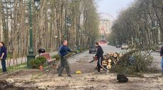 Парк Горького убирают после обстрелов (фоторепортаж, видео)
