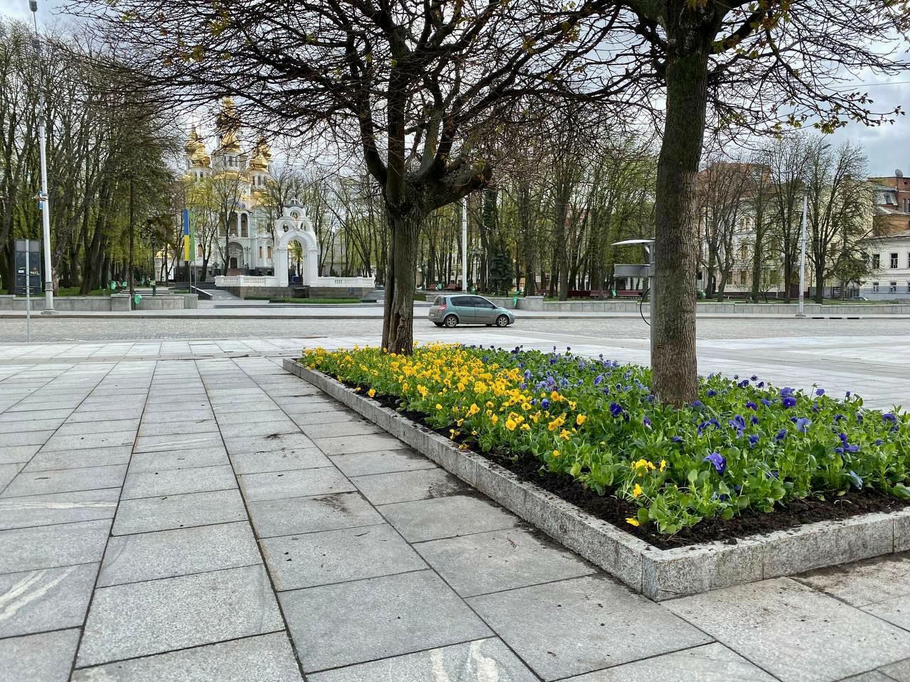 В Харькове возле ХНАТОБа и Зеркальной струи высадили цветы (фоторепортаж)