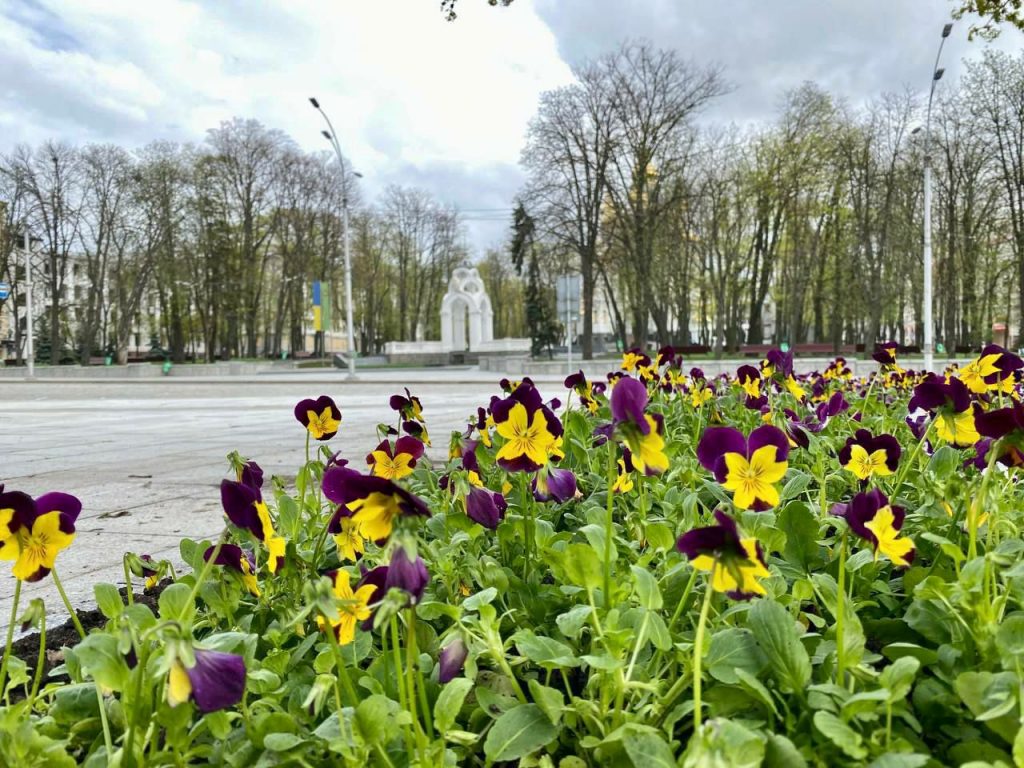 Не харків’янин – Терехов про противників витрат на квіти й прибирання у війну