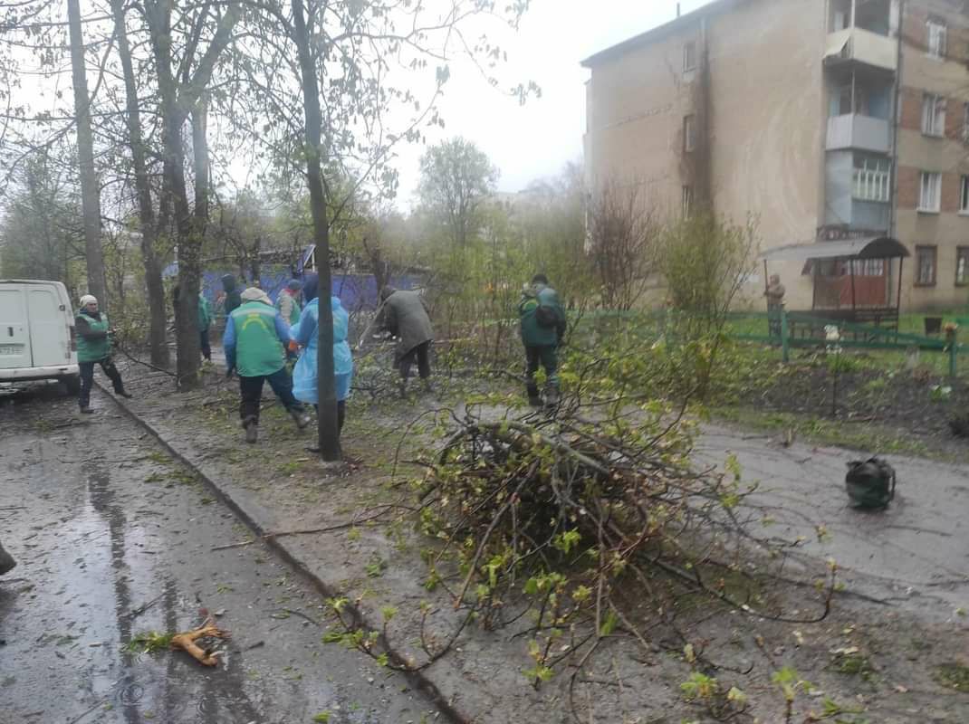 Убирают упавшее от обстрела дерево в Харькове