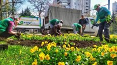 В Харькове продолжают высаживать цветы и убирать улицы от мусора (фото)