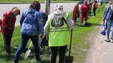 На проспекте Гагарина высадили саженцы орехов и калины (фото)