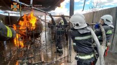 В Солоницевке горела АЗС — причину пожара устанавливают (фото)