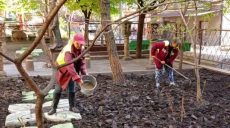 Сажают цветы, убирают мусор и ремонтируют крыши: чем занимаются харьковские коммунальщики