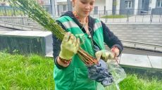 У пенсионерки Надежды, которая прислала для Харькова саженцы деревьев, появились последователи
