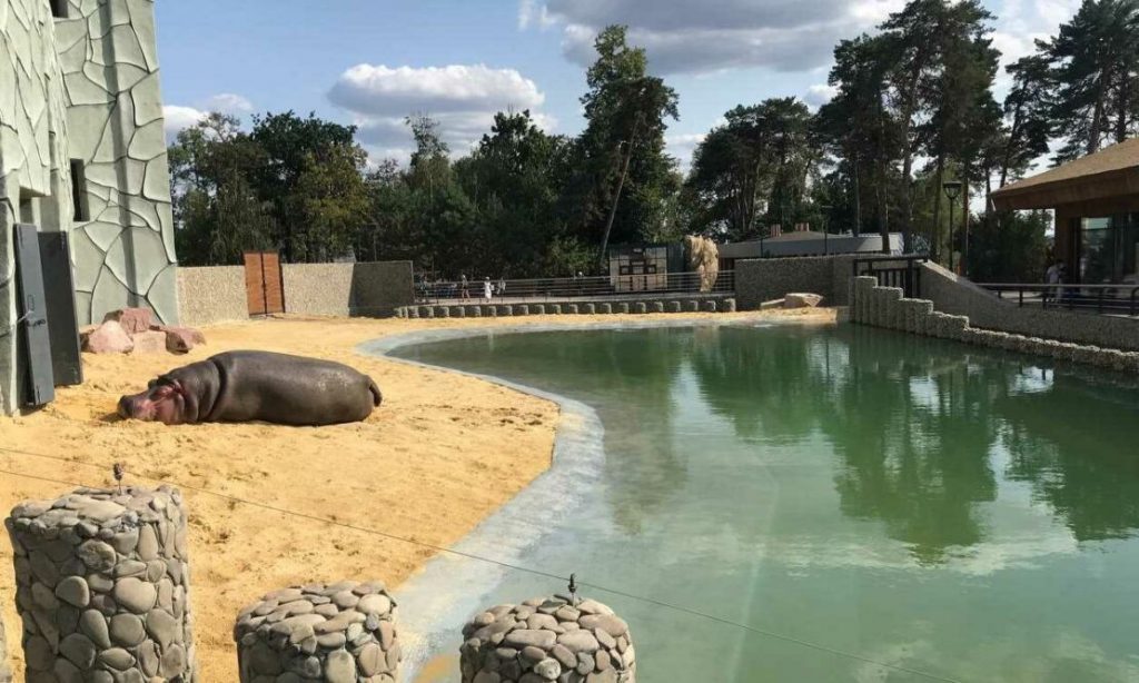 Харьковский зоопарк сообщил о мошенниках, собирающих деньги на спасение животных