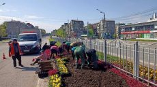 На проспекте Науки в Харькове высадили цветы (фото)