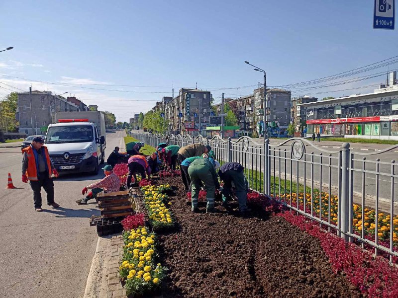 На проспекте Науки в Харькове высадили цветы (фото)