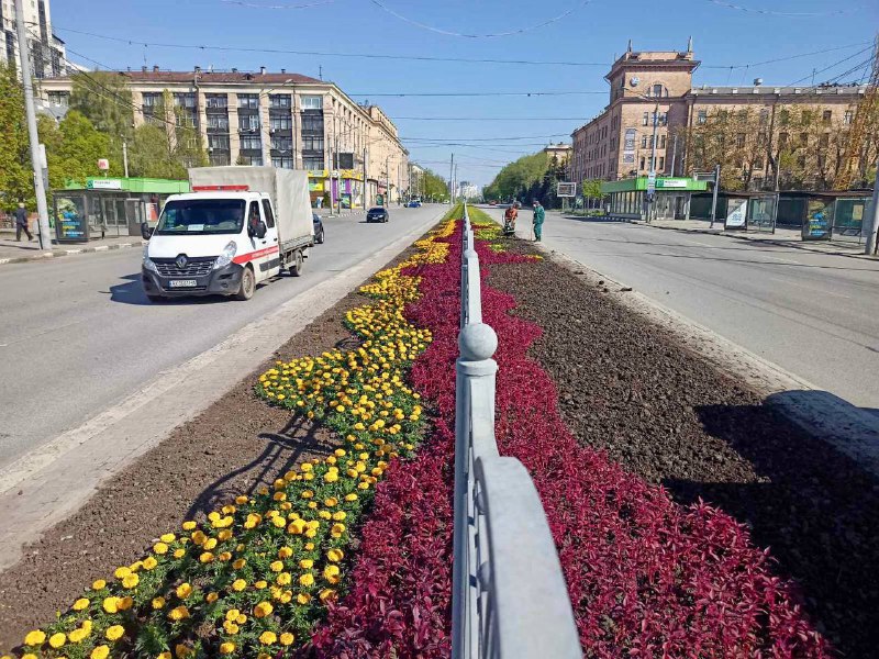 В военном Харькове высаживают цветы