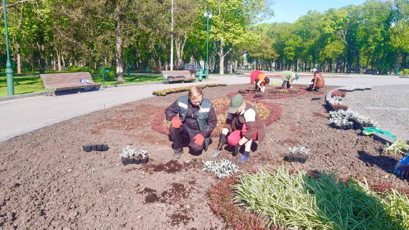 Клумба в саду Шевченко в Харькове