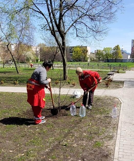 Сакуры, ясень и рябина: в Харькове высадили более 100 саженцев молодых деревьев