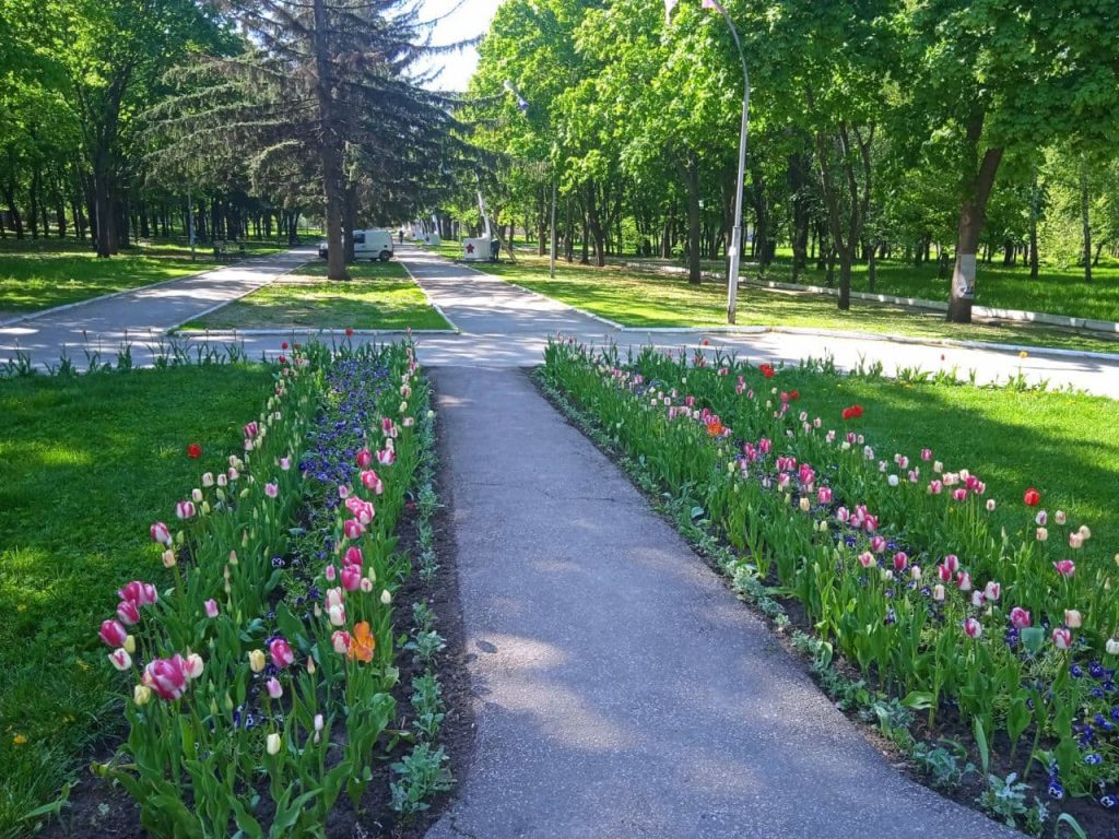 В парке Машиностроителей высадили более двух тысяч цветов (фото)