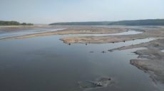 Пісок і трава: як виглядає обміліле Оскільське водосховище (відео)
