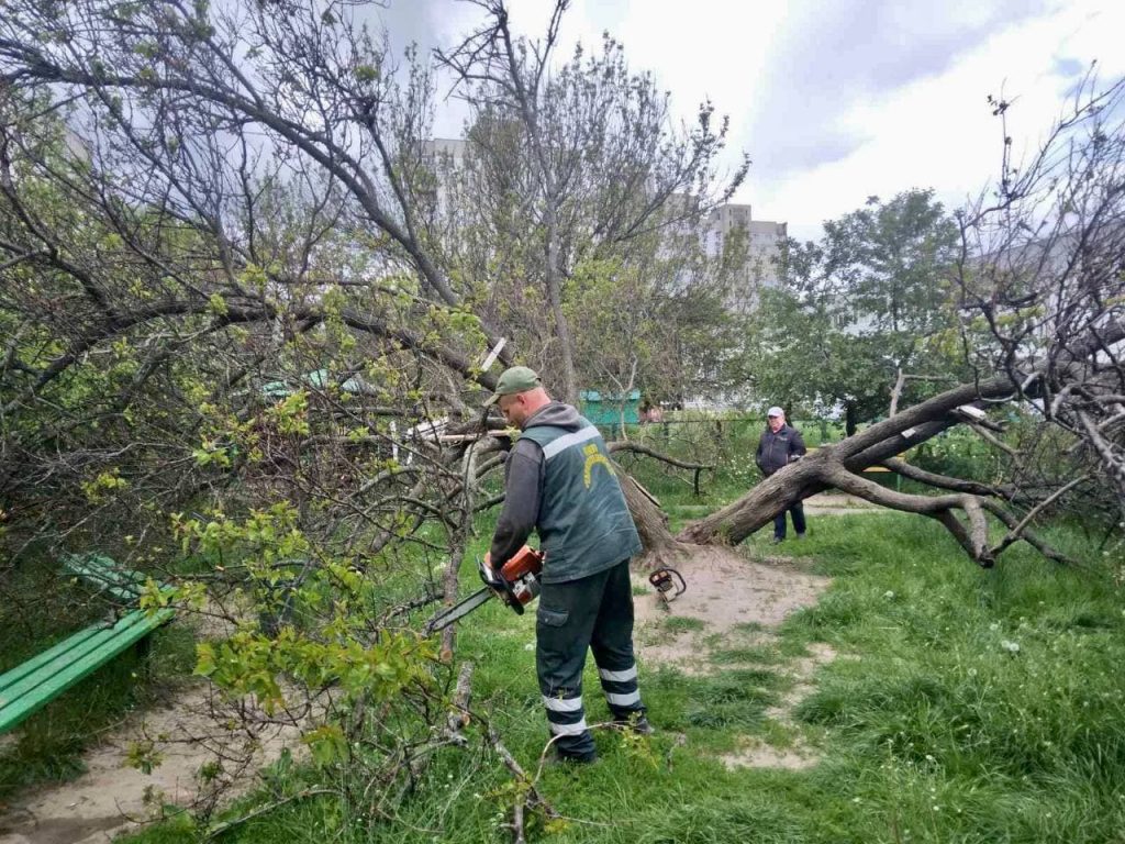 В Харькове коммунальщики высаживают цветы, косят траву и распиливают деревья (фото)