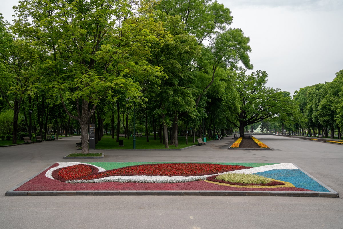В саду Шевченко в Харькове создали цветочное панно