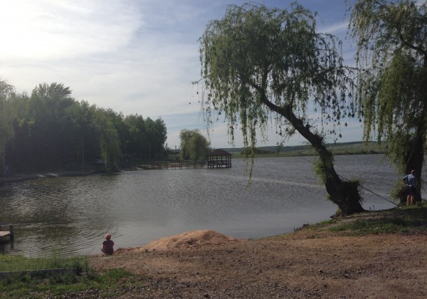 На Харьковщине снаряд упал в воду: ранены купающиеся дети