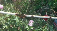 В Чугуевской громаде часть домов остается без газа