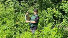 Под Харьковом нашли обломки сбитой российской ракеты (фото)