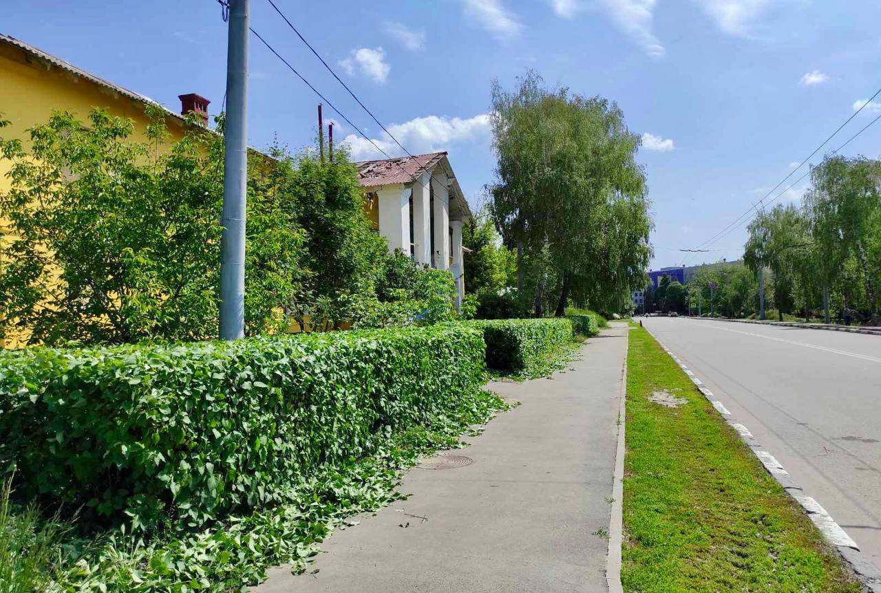 В Харьковских скверах и парках высаживают цветы и косят газоны