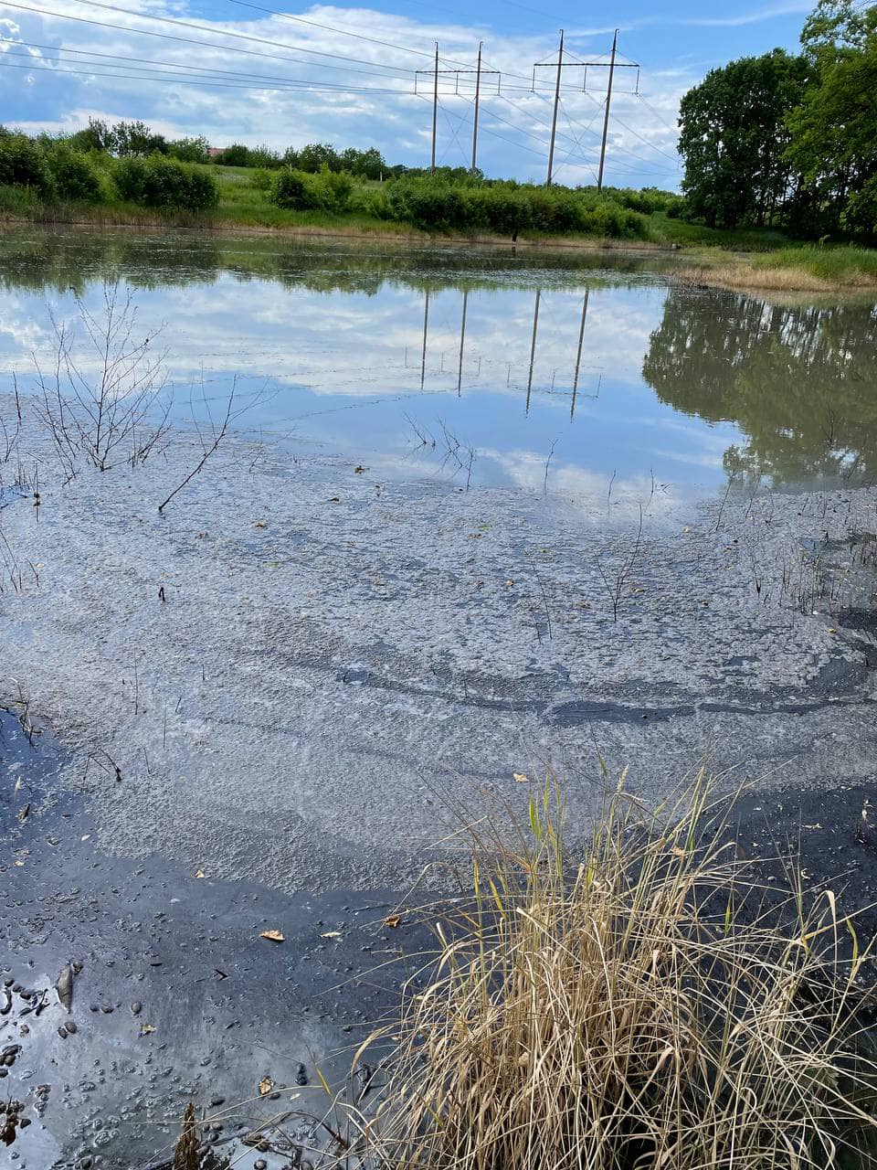 Пена на воде озера в поселке Докучаевское под Харьковом