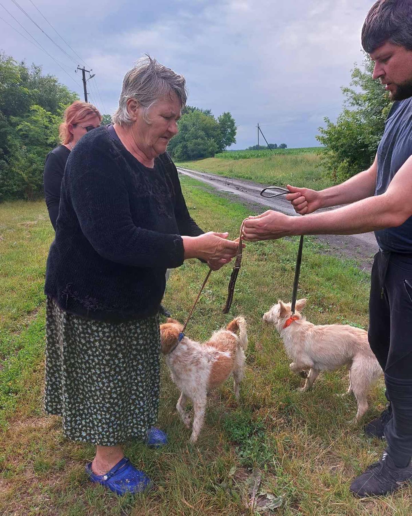 Нашлась хозяйка трех собак, эвакуированных из Слатино