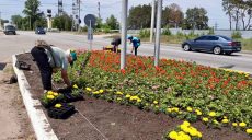 Косят газоны и высаживают цветы: харьковские коммунальщики заняты любимым делом (фото)