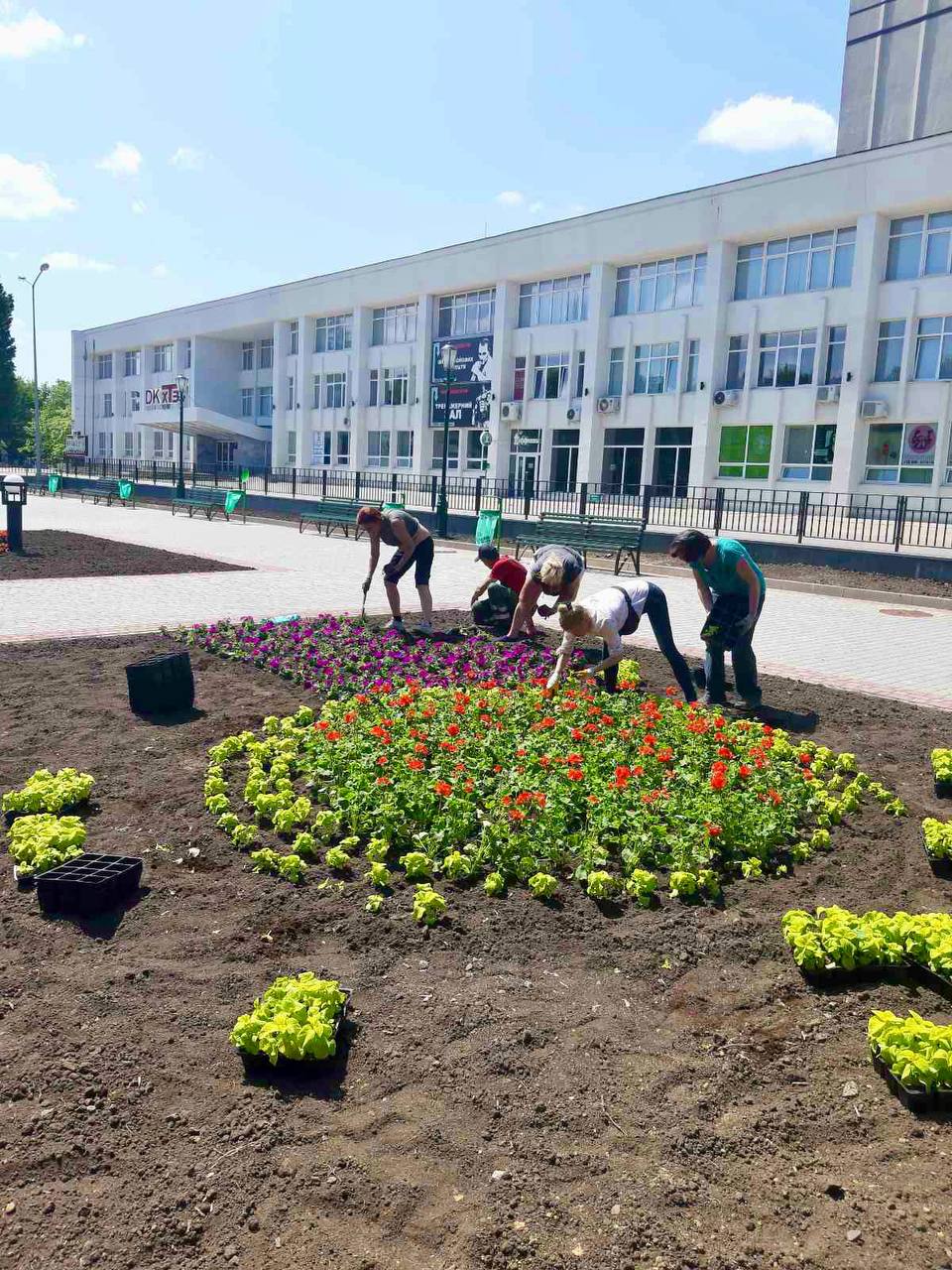 Харьковские коммунальщики продолжают высаживать цветы