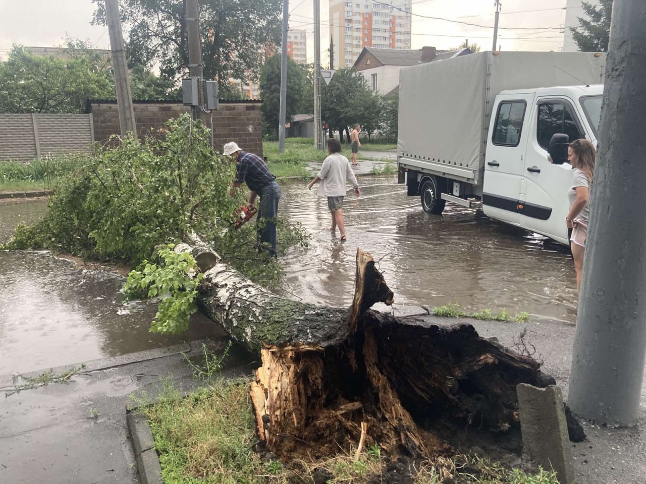 Коммунальщики убирают с харьковских улиц поваленные бурей деревья (фото)