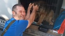 Хозяева мини-приюта под Харьковом, оказавшегося в оккупации, встретились со своими животными в Финляндии (видео)