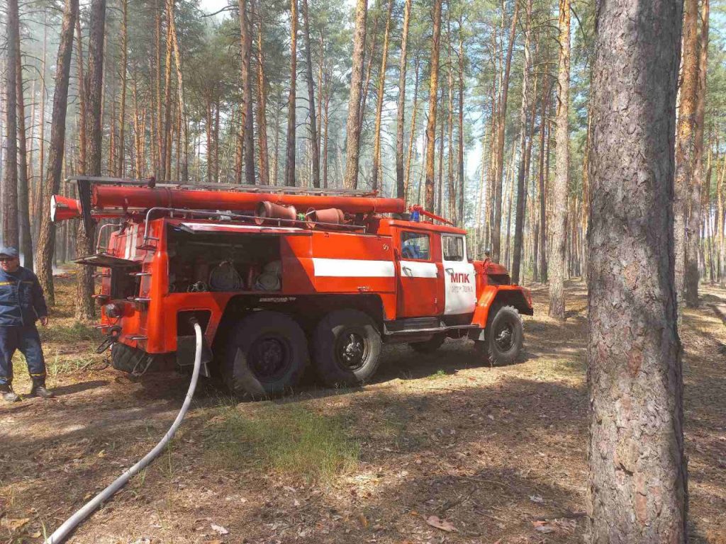 На Харьковщине из-за обстрела случился пожар в хвойном лесу