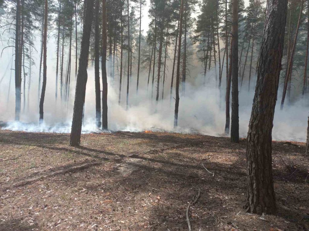Изюмского леса нет, он сгорел – заместитель руководителя ГСЧС Харьковщины