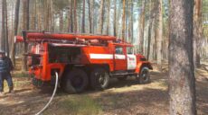 На Харківщині через обстріл сталася пожежа у хвойному лісі