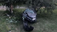 На Харьковщине в ДТП погиб молодой мужчина, второго госпитализировали