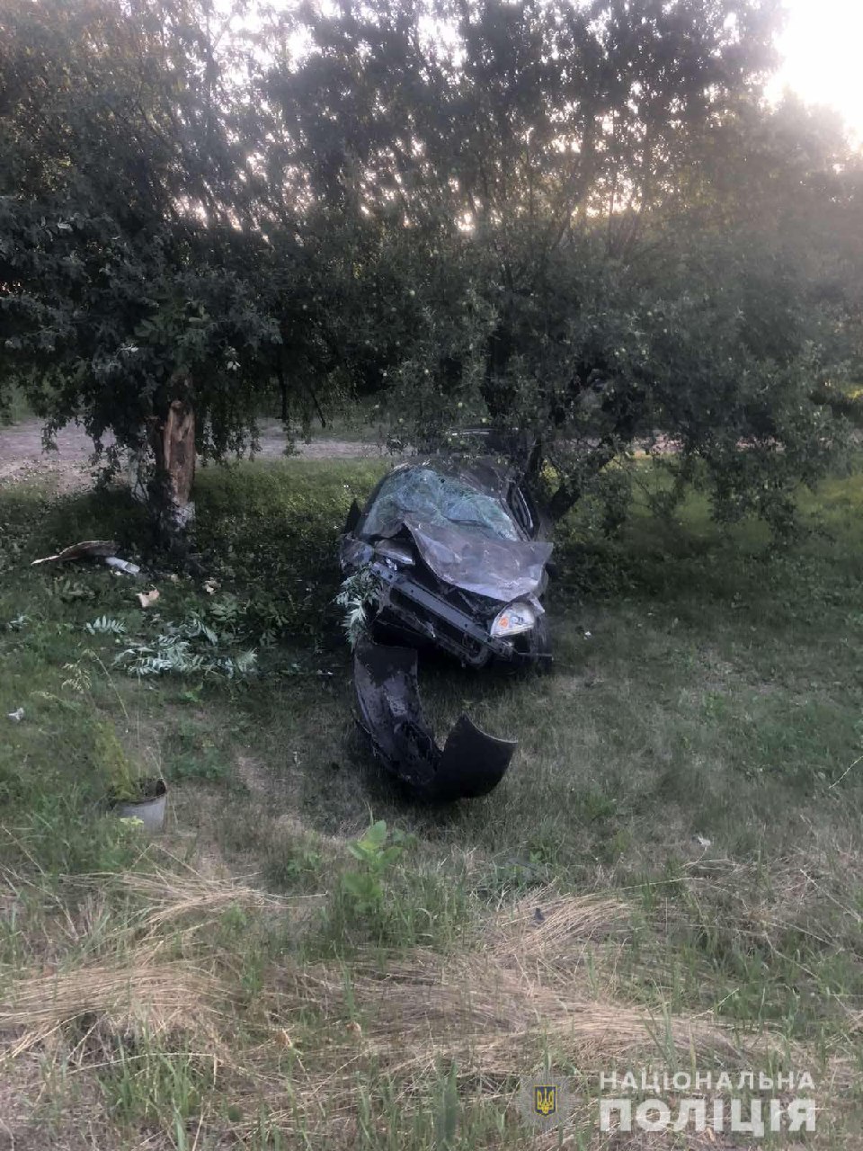 На Харьковщине в ДТП погиб молодой мужчина, второго госпитализировали