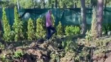 Под удар российских ракет попал центральный парк Харькова (видео)