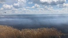 На Харківщині через російський обстріл горіло 30 га пшениці