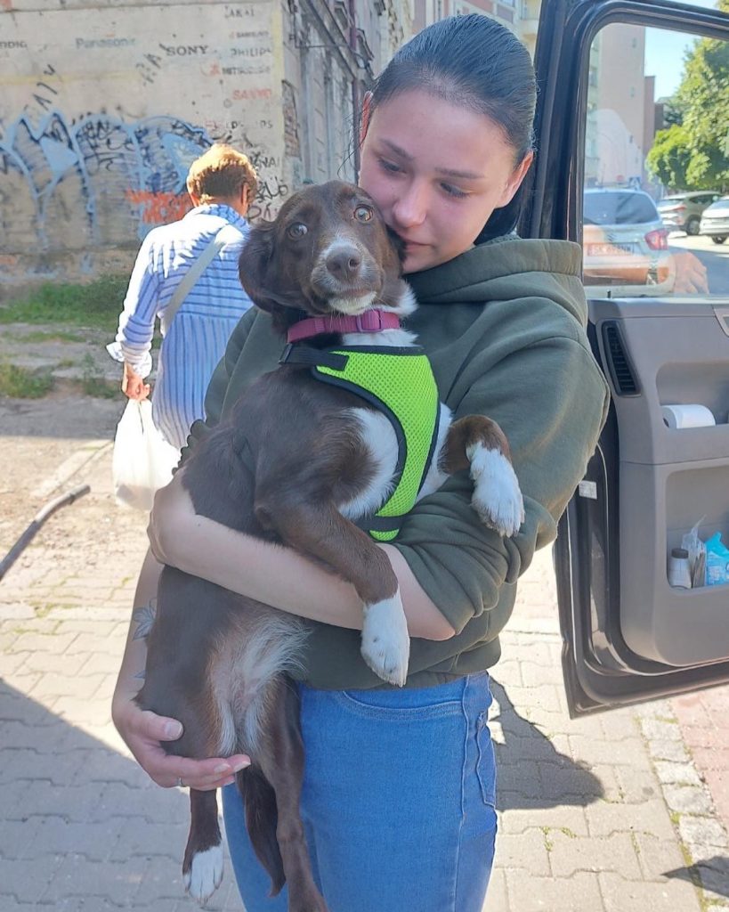 Харківські волонтери повернули до родин 16 тварин з гарячих точок (фото)