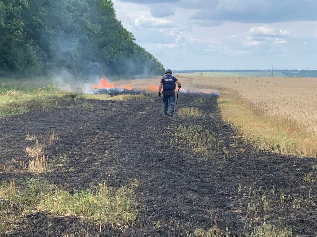 Под Харьковом загорелось поле пшеницы