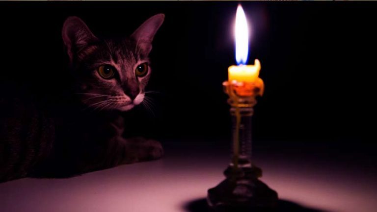 Что со светом: Харьковщина среди регионов, где самая тяжелая ситуация