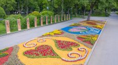 Квіти у Харкові: мерії пропонують висаджувати лише багаторічні