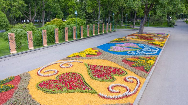 Цветы в Харькове: мэрии предлагают высаживать только многолетники