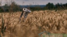 Из-за российских обстрелов на Харьковщине уже сгорело почти 50 га зерновых нового урожая