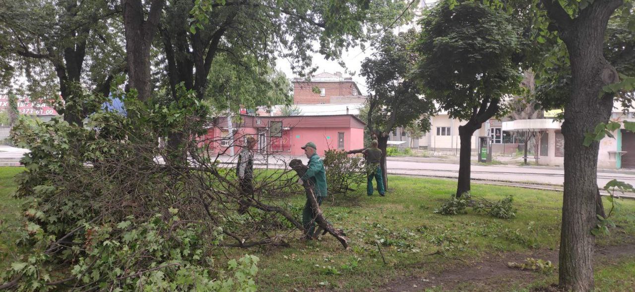 В Харкові прибирають гілки дерев, які впали через негоду