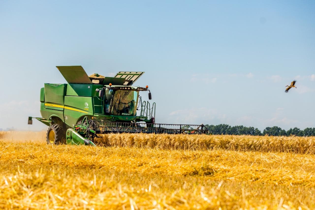 В Харьковской области собрали более 1,1 млн тонн зерна