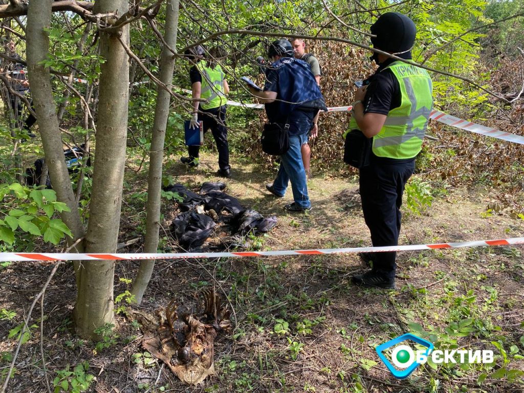 В посадке рядом с Малой Роганью нашли тело мужчины со связанными руками (фото)