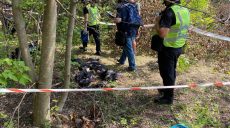 В посадке рядом с Малой Роганью нашли тело мужчины со связанными руками (фото)