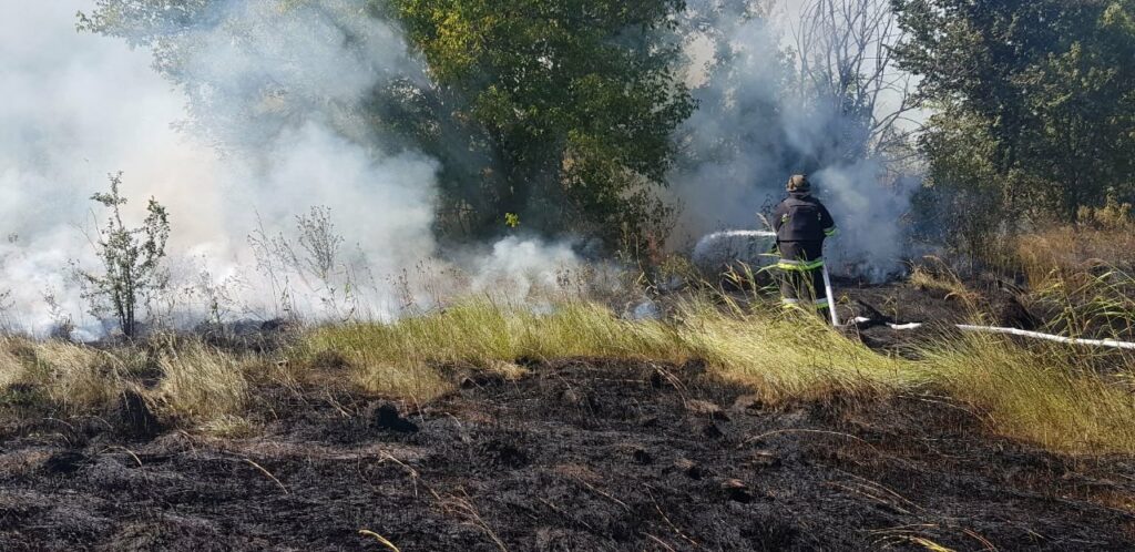 На Харківщині сталося вісім пожеж в екосистемах – почали палити сухостій