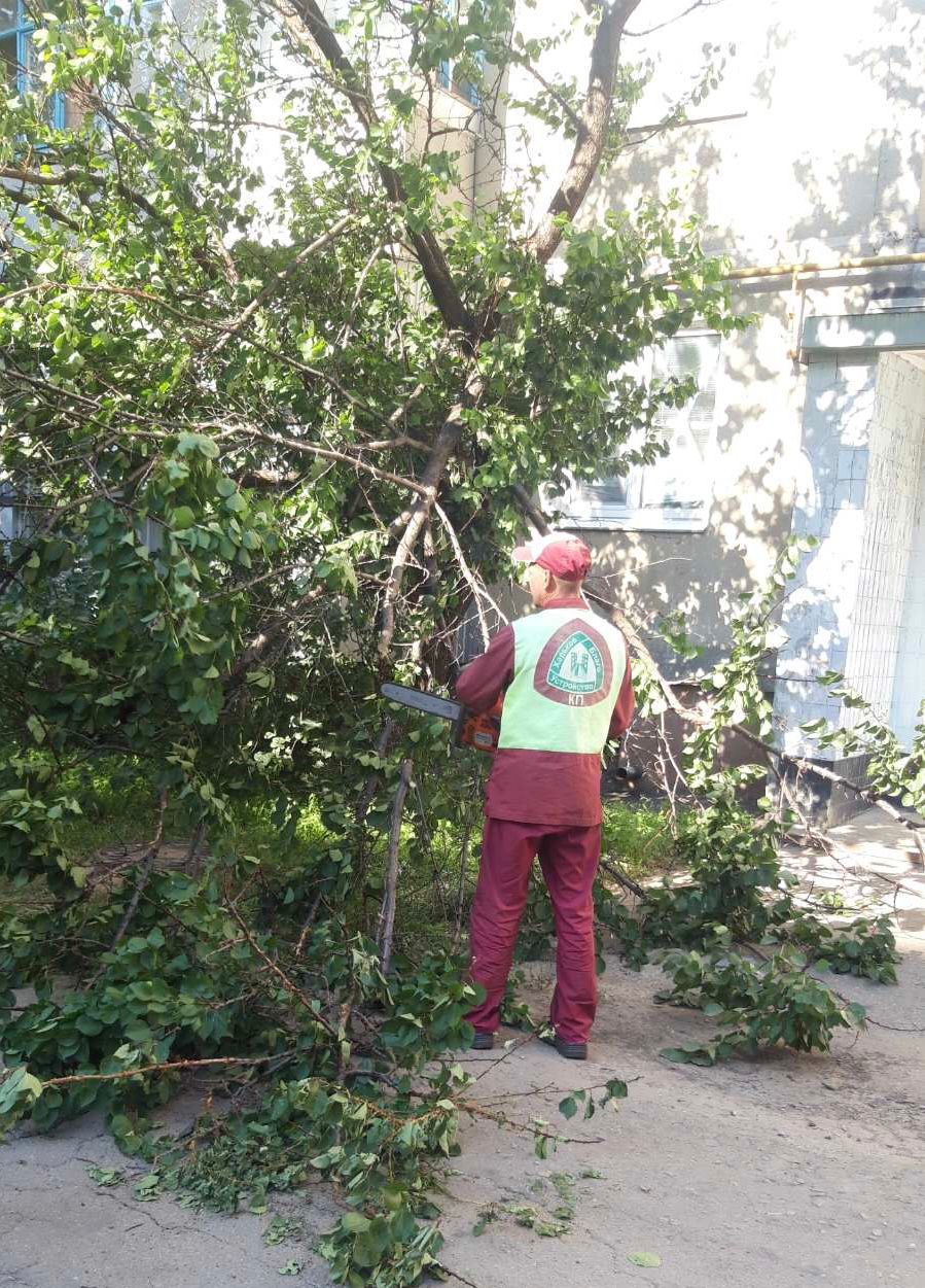 Сотрудники КП «Харьковблагоустройство» ежедневно убирают во дворах и скверах